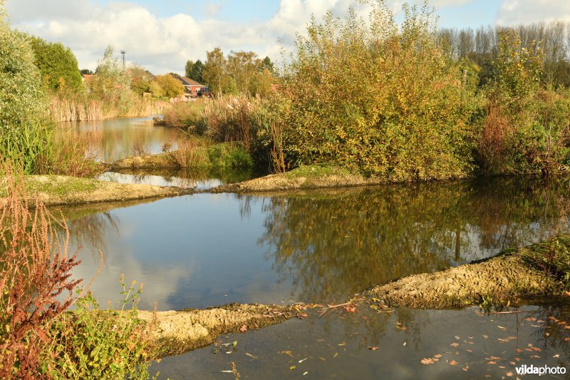 Regenwatergracht en vistrap (R)