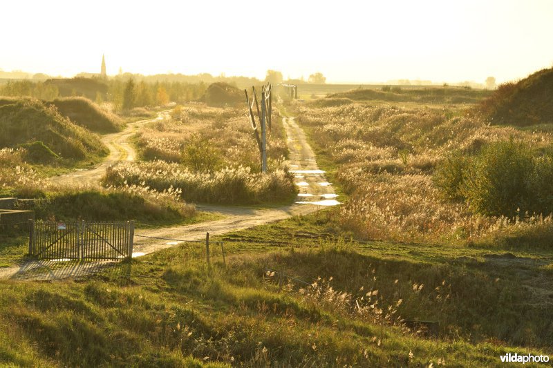 Hedwige- en Prosperpolder (R)