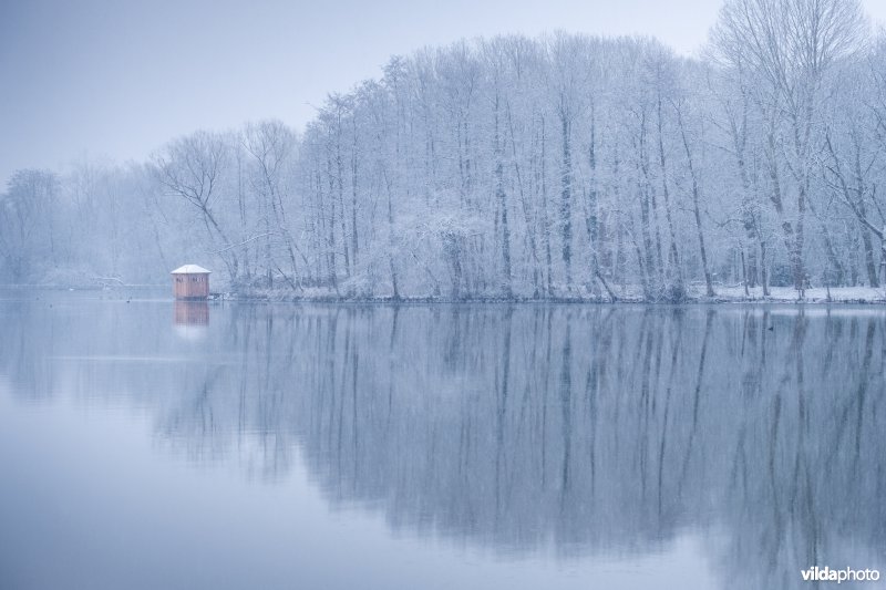 Winter in het provinciaal domein Kessel-Lo