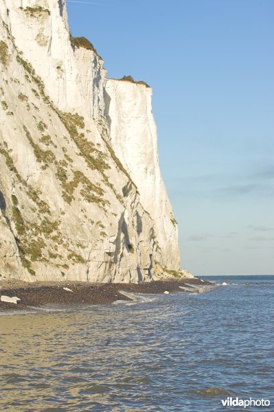 White cliffs van Dover