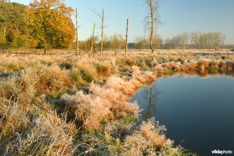Demerbroeken