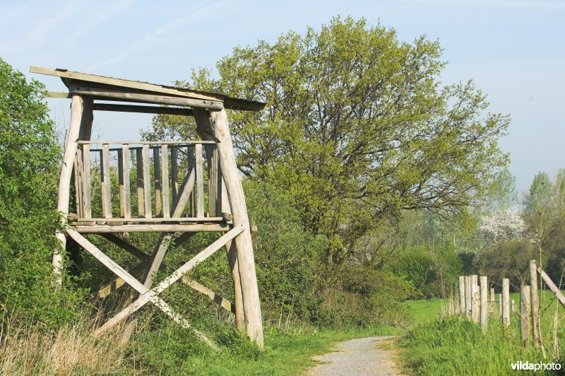 Uitkijktoren van Stasveld