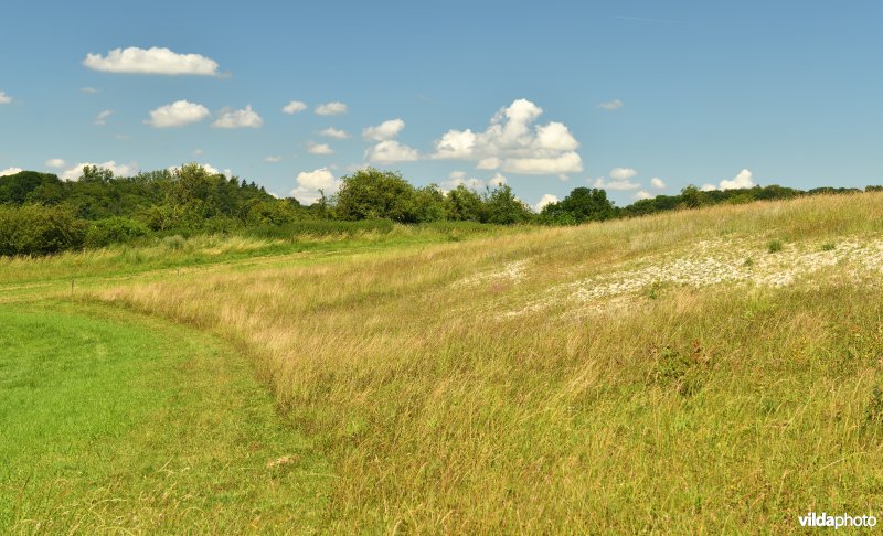 Voerstreek