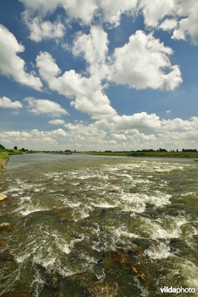 Stroomversnellingen op de Maas