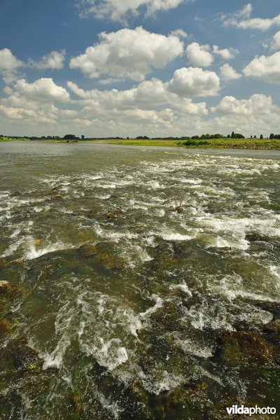 Stroomversnellingen op de Maas