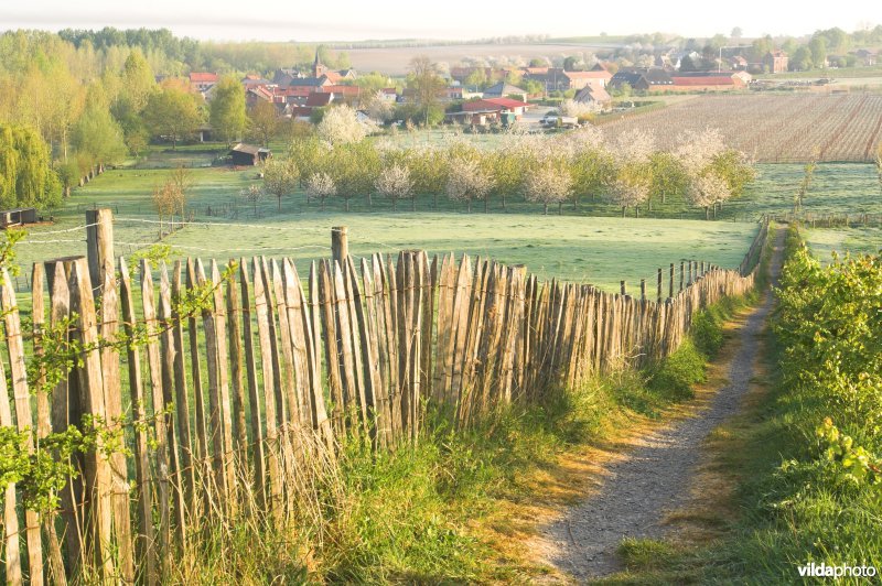 Wandelpaadje doorheen het reservaat Knoppel