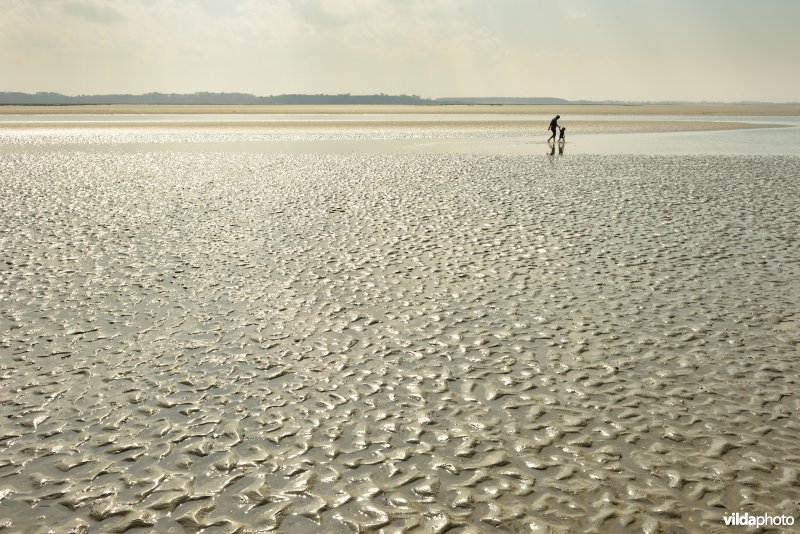 Baai van de Somme