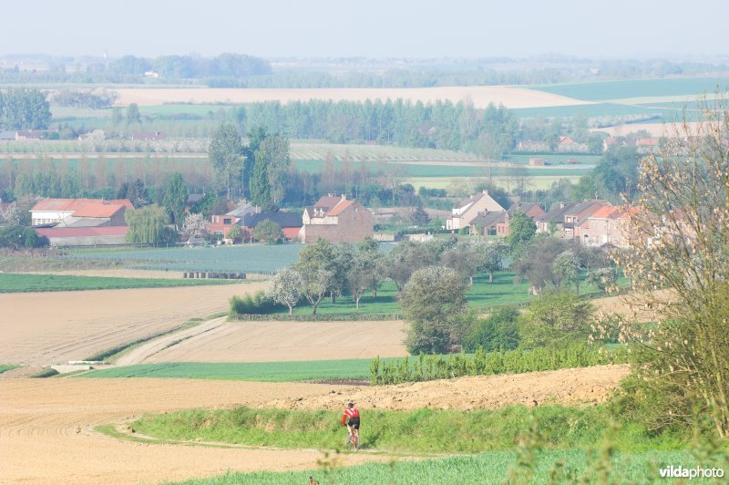 Zicht vanop de Haringsberg in Grootloon