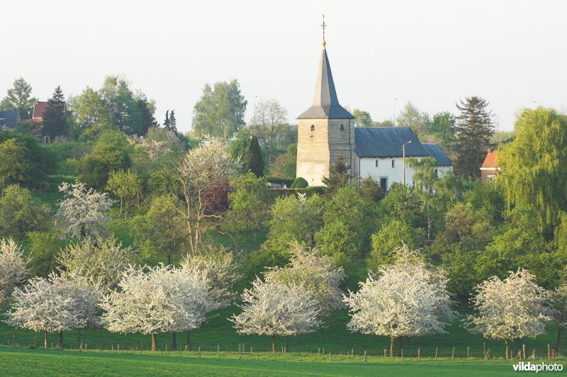 Zicht op het dorpje Grootloon