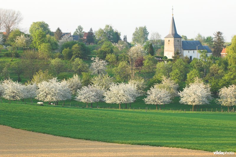 Zicht op het dorpje Grootloon