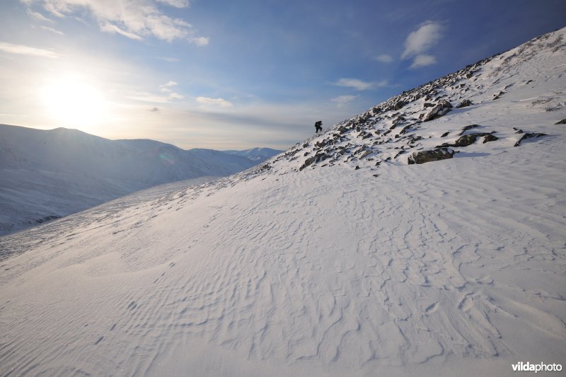 Cairngorms 