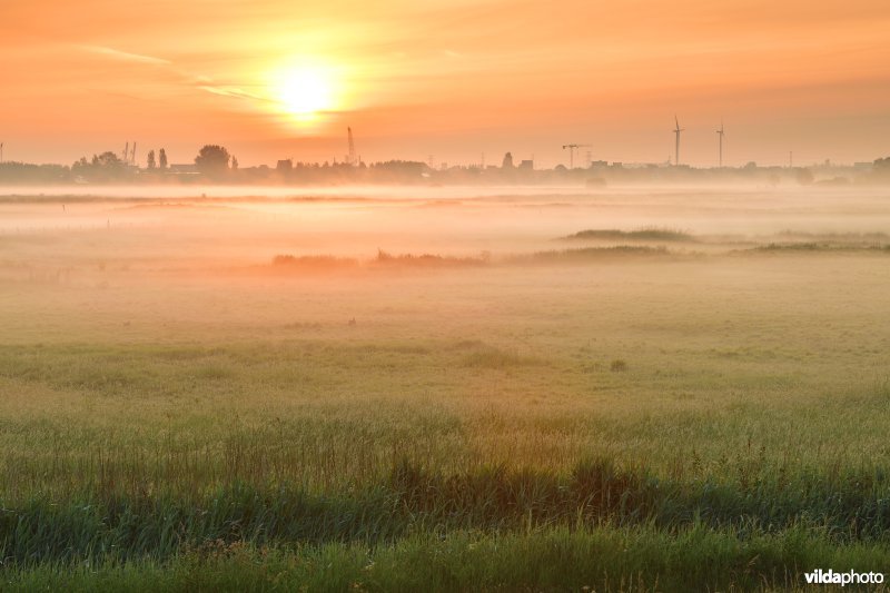 Uitkerkse polders