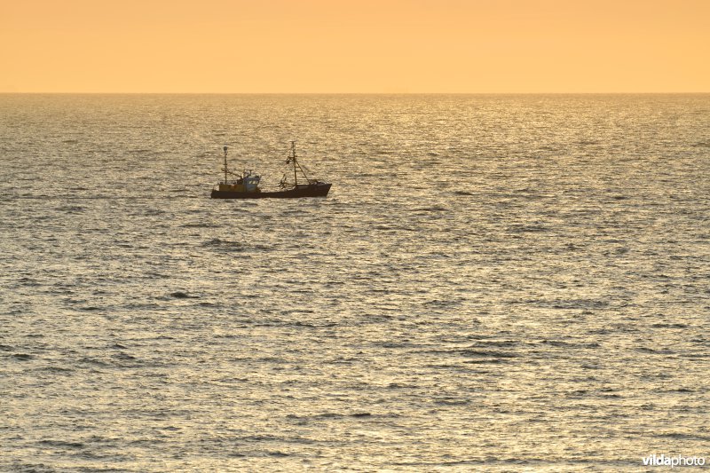 Vissersboot op de Noordzee