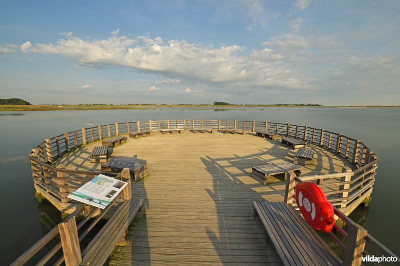 Uitkijkplatform in het Zwin