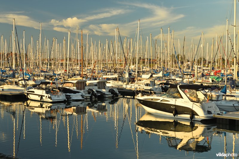 Haven van Nieuwpoort