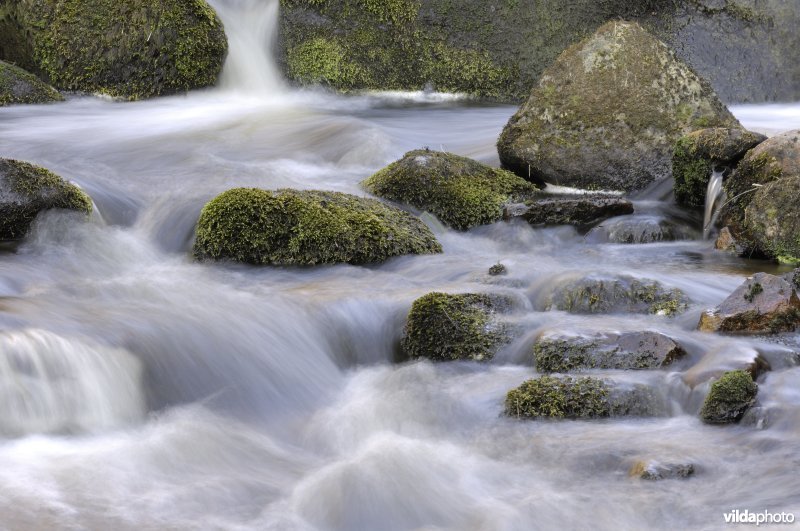 Waterval in de jura