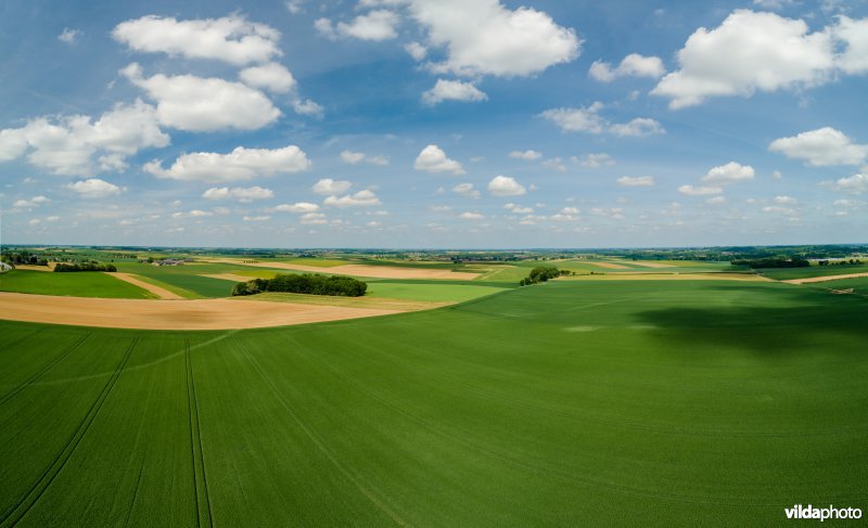 Akkerlandschap in Haspengouw, België