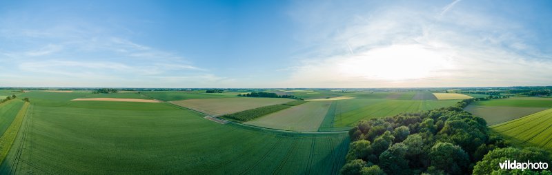 Akkerlandschap in Haspengouw, België