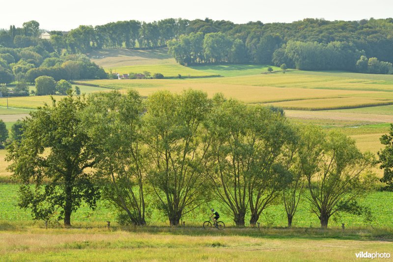 Mountainbiker in de Vlaamse Ardennen