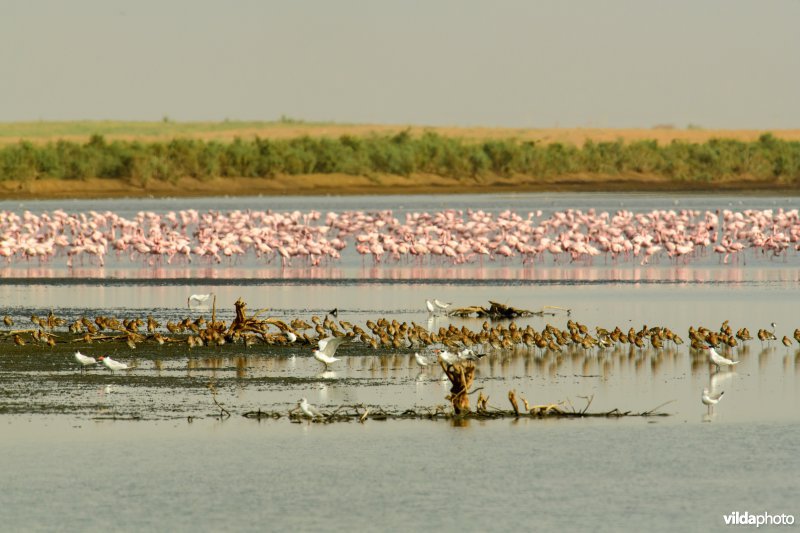 Grutto's in Senegal