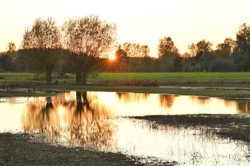 Afgegraven Merelbeekse Scheldemeersen