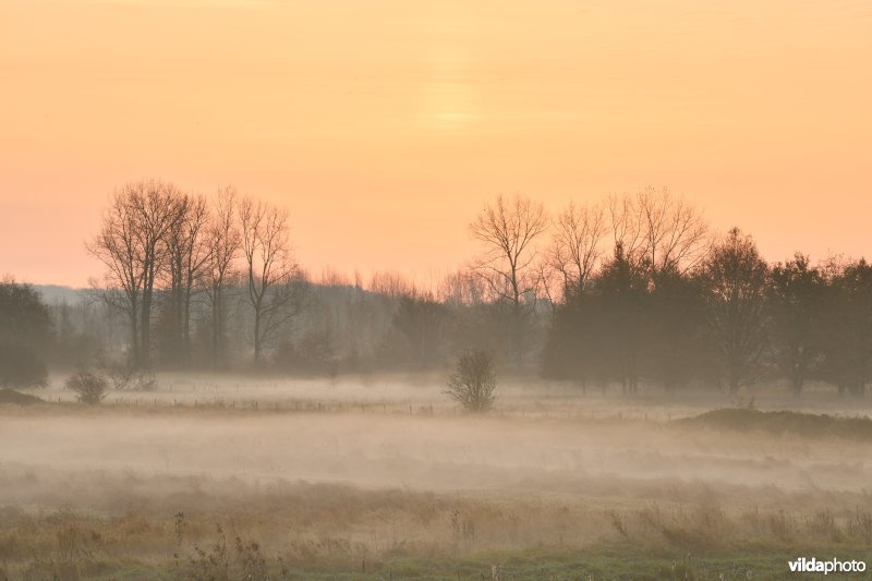Demerbroeken