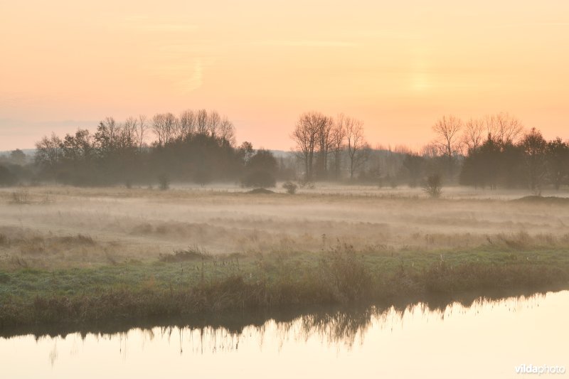 Demerbroeken