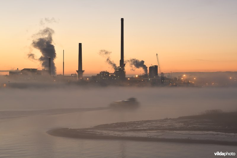 Industrie aan de Schelde en de waterbus