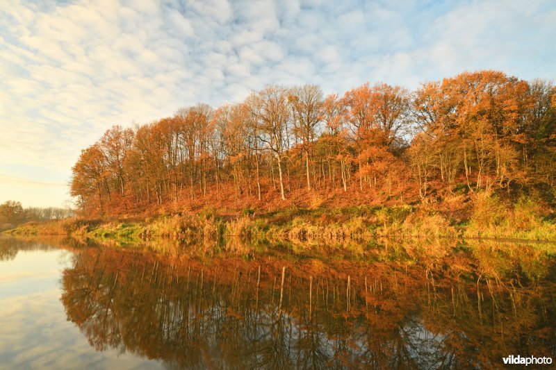 Voortberg aan de Demerbroeken in de herfst