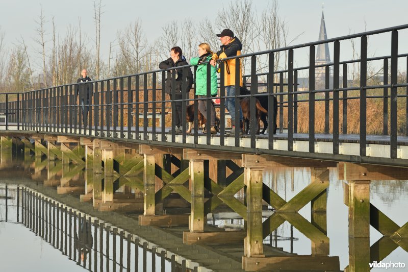 Vlonderpad in de Polders van Kruibeke