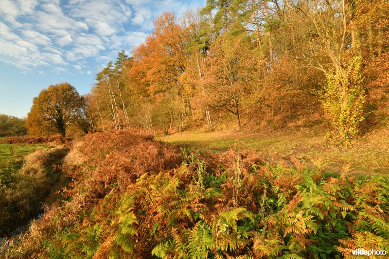 Demerbroeken