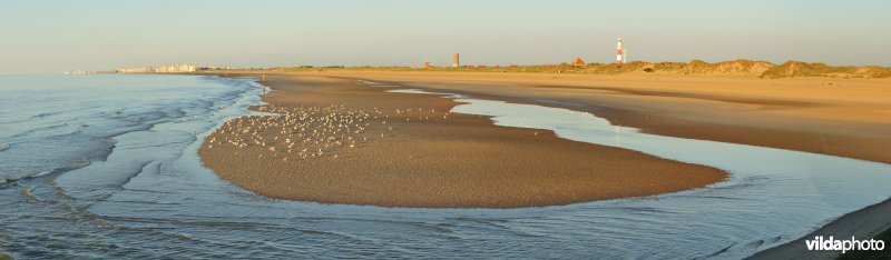 Strandreservaat van Lombardsijde