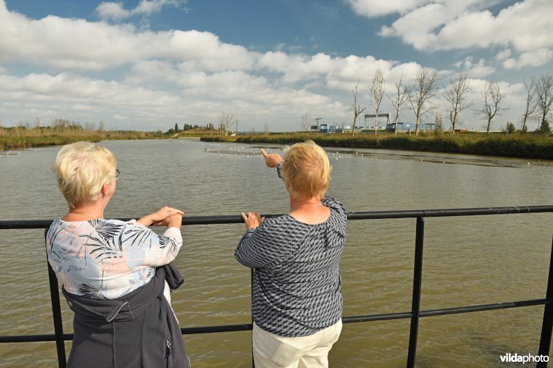 Vogels kijken op het vlonderpad in de polder van Kruibeke