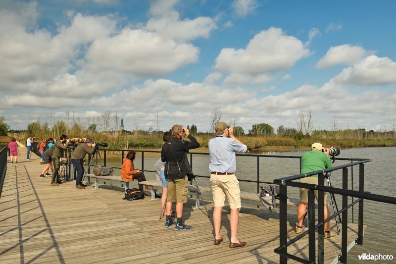 Vogels kijken op het vlonderpad in de polder van Kruibeke