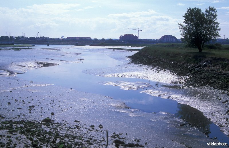 Natuurreservaat IJzermonding