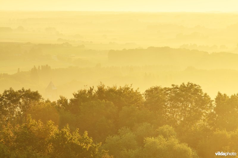 Zicht van op de Belvedèretoren op de Kemmelberg