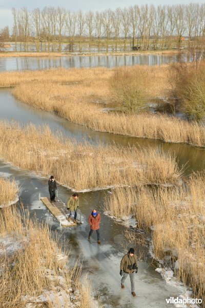 Wandelen in de Blankaart in de winter
