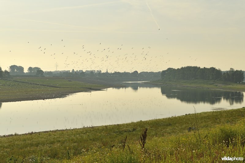 Maasvallei in Dilsen-Stokkem