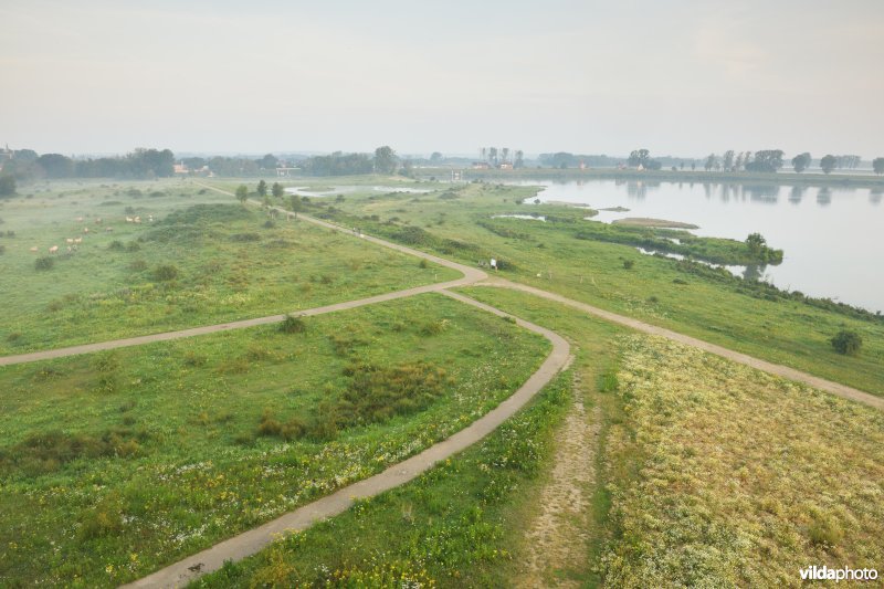 Natuurgebied Negenoord-Kerkeweerd