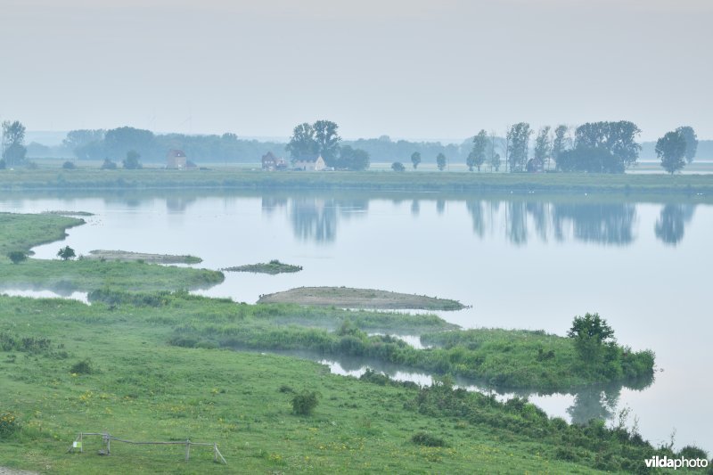 Natuurgebied Negenoord-Kerkeweerd