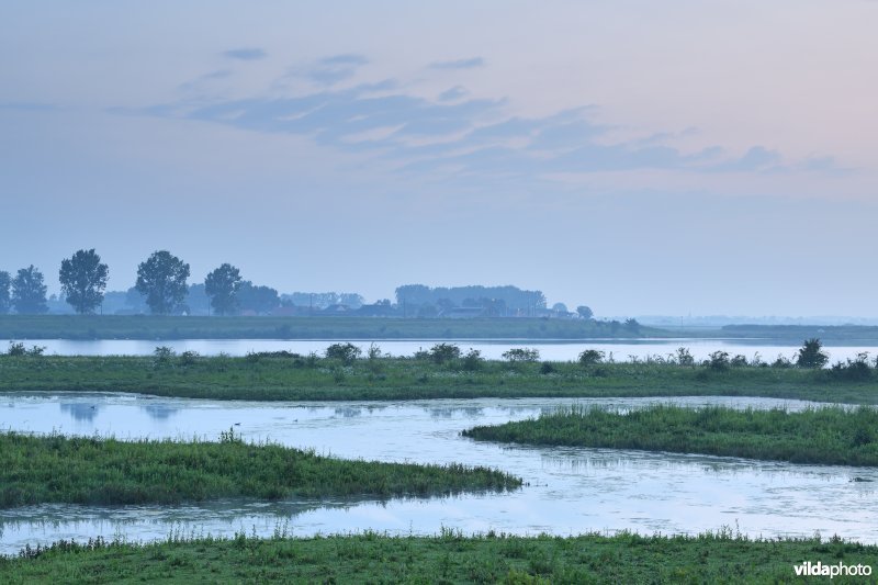 Natuurgebied Negenoord-Kerkeweerd