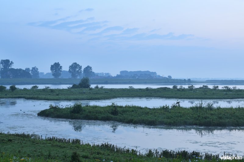 Natuurgebied Negenoord-Kerkeweerd