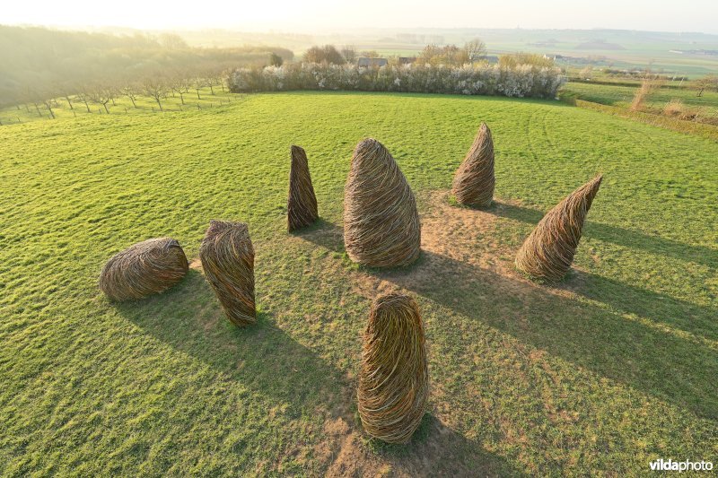 Land-art met wilgentakken