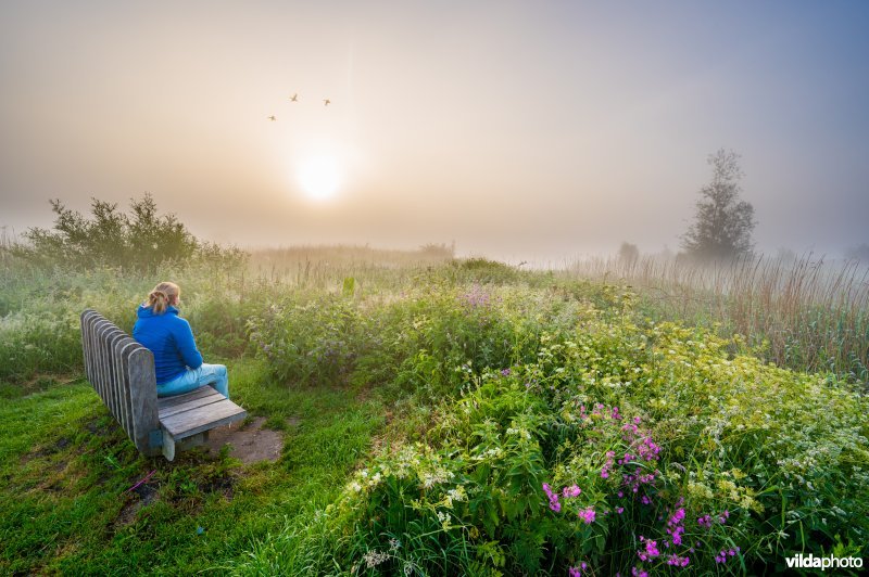 Genieten van de zonsopkomst