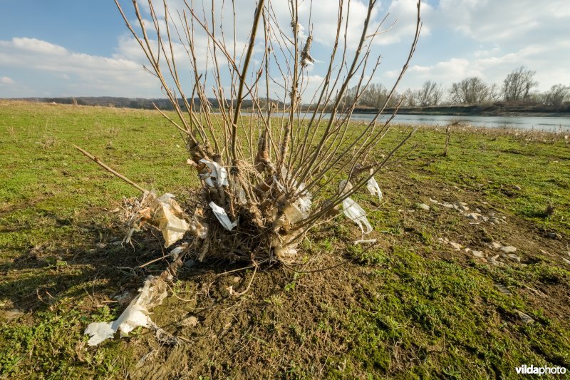 Afval na het wegtrekken van hoogwater