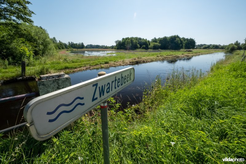 Hoogwater van de Zwarte beek
