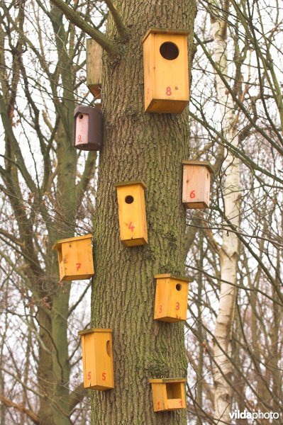 Appartement voor vogels