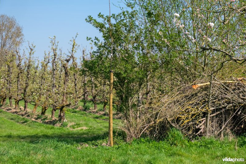 Overhoekje