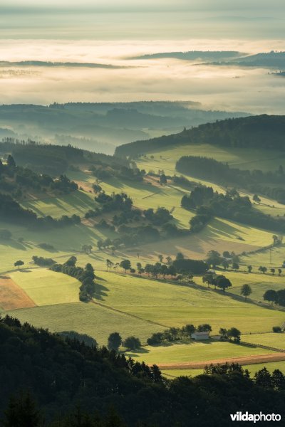 Landbouwlandschap