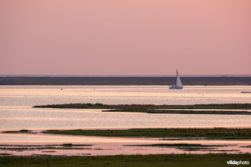 Zeilbootje op het Lauwersmeer
